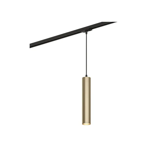 Трековый светильник Denkirs DK6210-BG