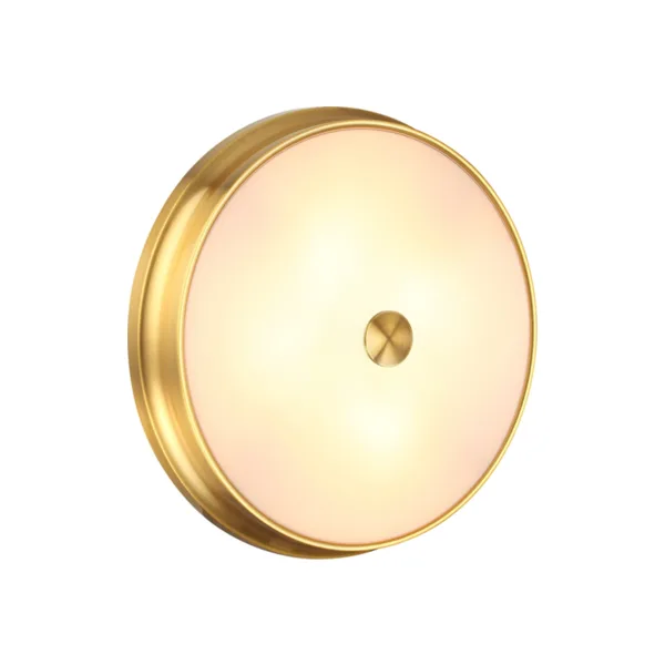 Настенно потолочный светильник Odeon Light Marsei 4824/4C