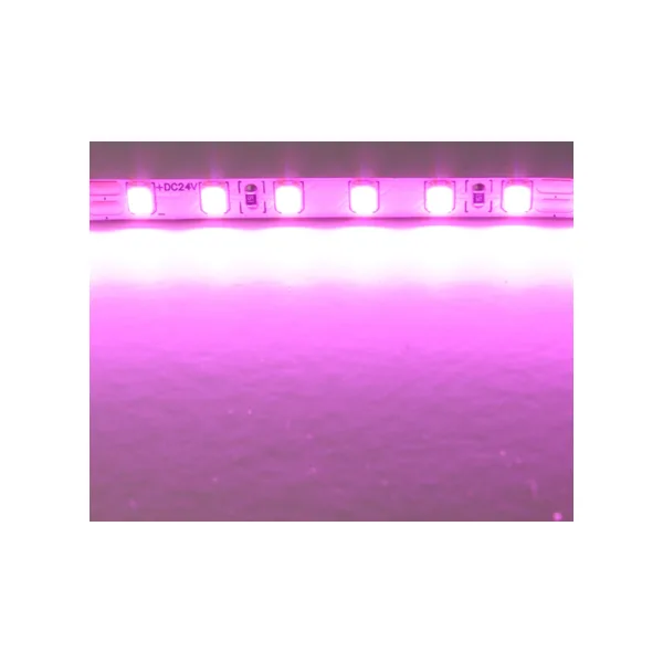 Светодиодная лента Lightstar 420512
