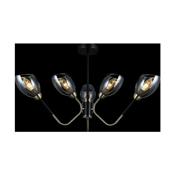 Потолочная люстра ILLUMICO IL9960-6CSQ-79 BK AB
