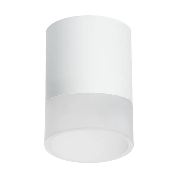 Накладной светильник Lightstar Rullo R348681