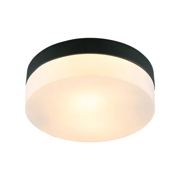 Светильник потолочный Arte Lamp Aqua-Tablet A6047PL-2BK