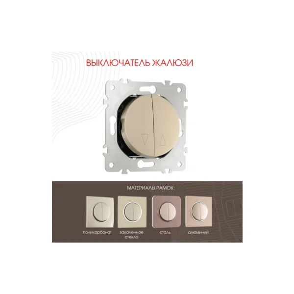 Выключатель Arte Milano Am-202 202.38-2.shampan