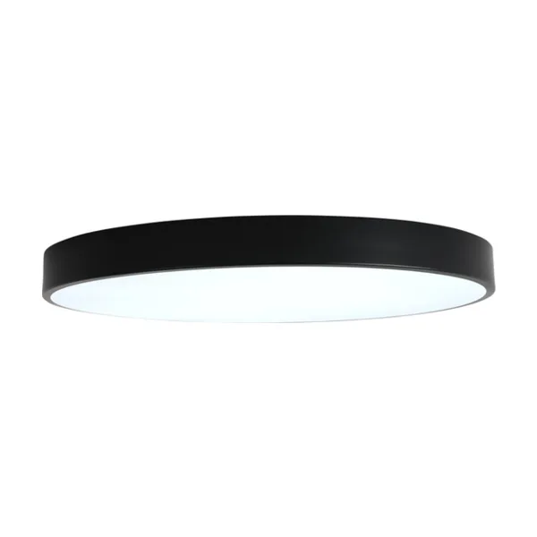 Светильник потолочный Zortes Tortty ZRS.02563.96