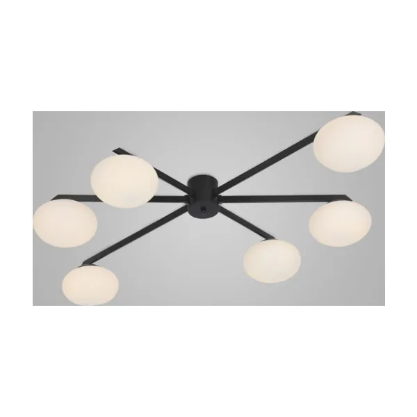 Потолочная люстра Eurosvet Opaline 70220/6 черный