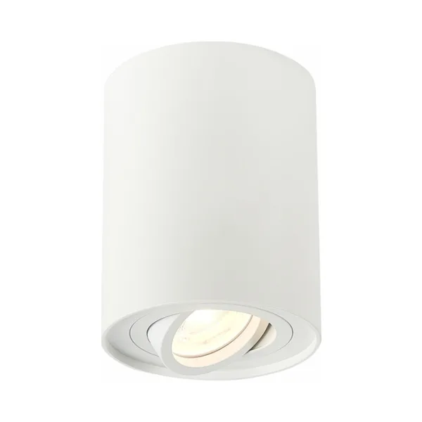 Накладной светильник ST Luce Torus ST108.517.01