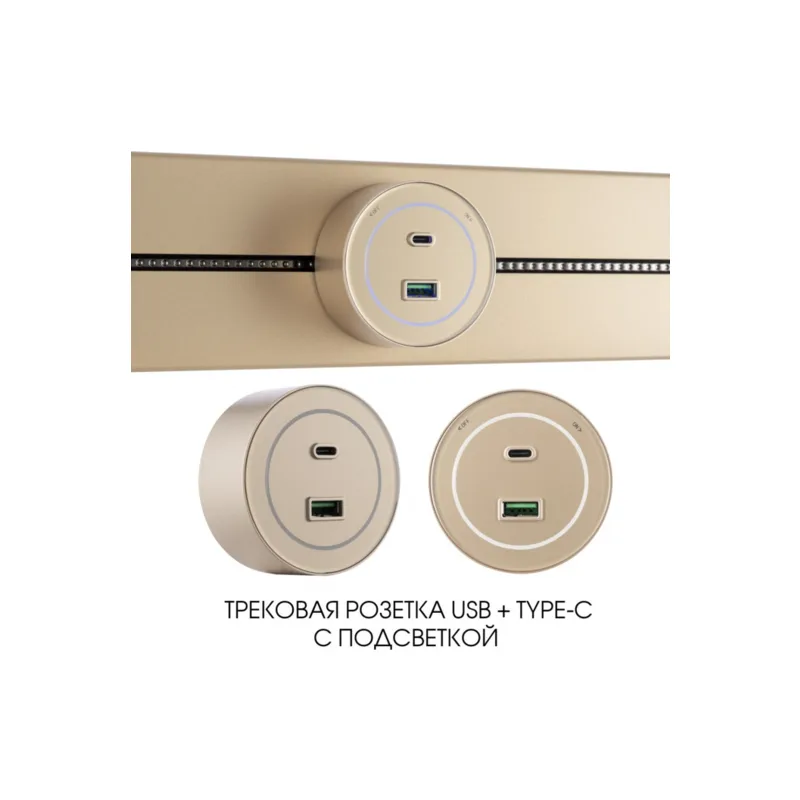 Трековая розетка Arte Milano Am-track-sockets-39 399732TS/USB-Type-C Gold
