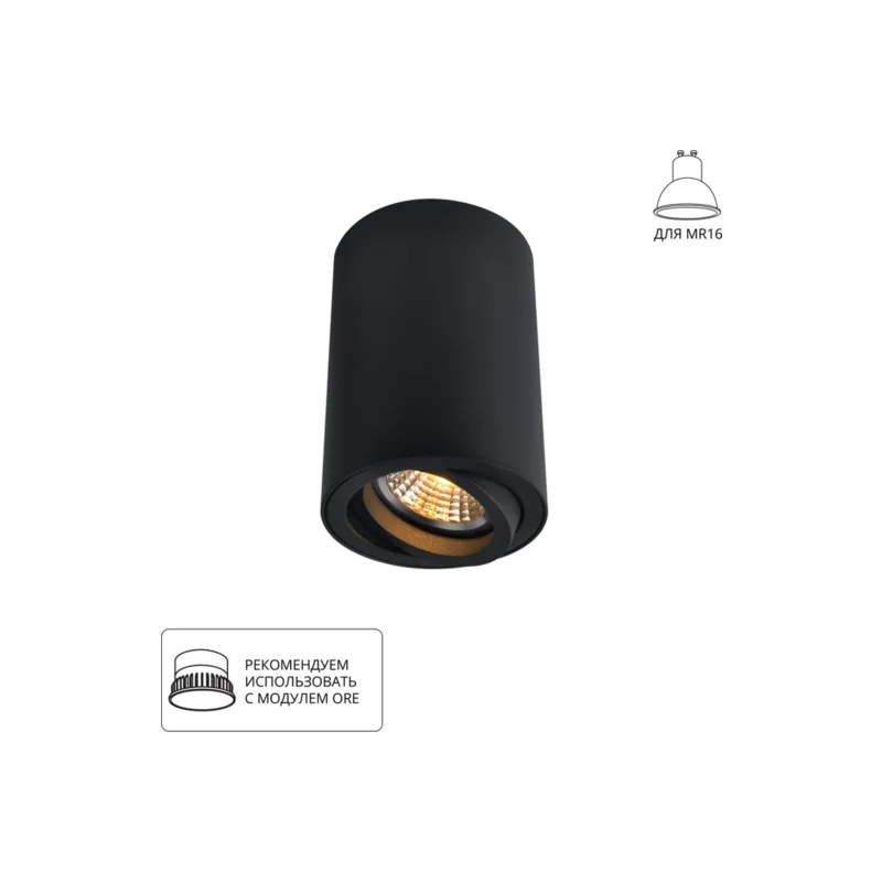Накладной светильник Arte Lamp Sentry A1560PL-1BK