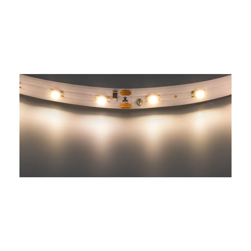 Светодиодная лента Lightstar 3528, 60 шт/м, 4.8 Вт/м, 12 В, IP20 400002