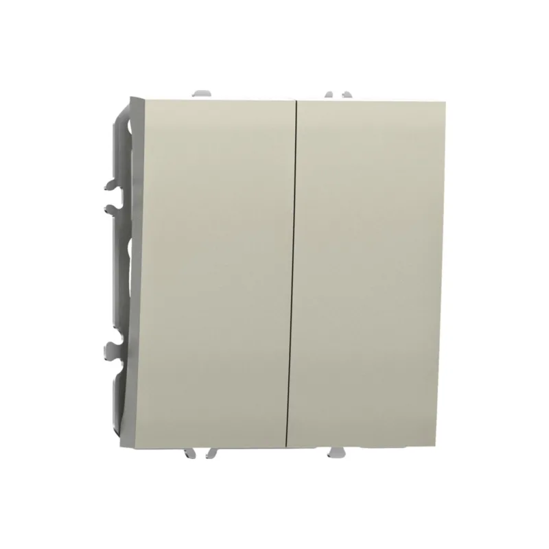 Кнопочный выключатель 2-х клавишный Donel S08 DB25100-DS29551, 10A 250В, шампань