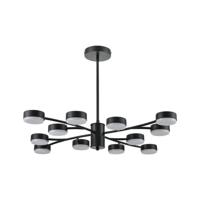 Потолочная люстра Lumion Torina 8117/12