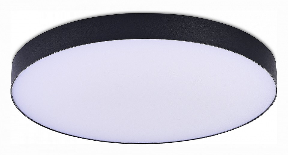 Светильник потолочный ST Luce ST606.442.96