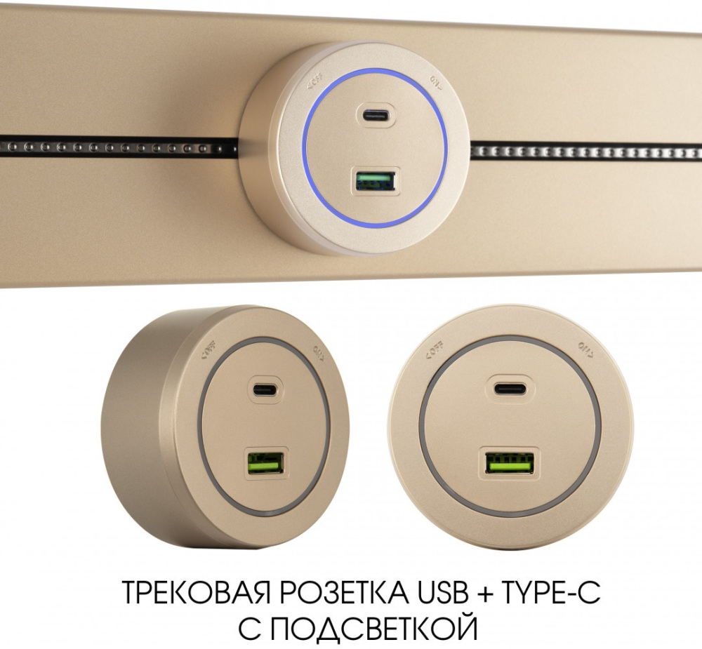 Трековая розетка Arte Milano Am-track-sockets-39 399731TS/USB-Type-C Gold