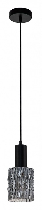 Подвесной светильник Escada Rain 10189/1S Black — фото 2