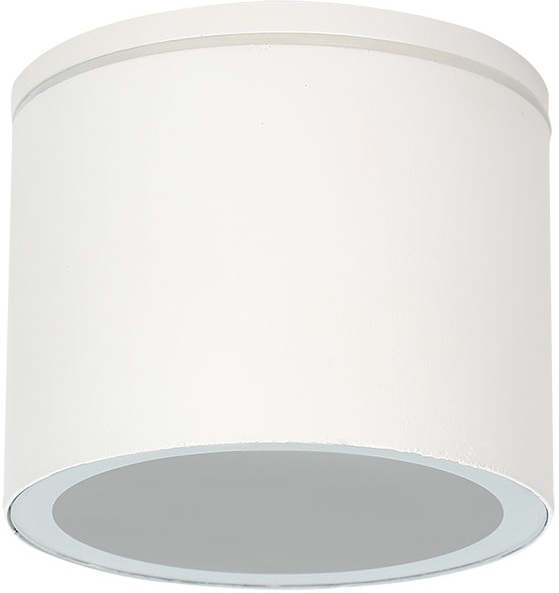 Уличный потолочный светильник Arte Lamp Piautos A1913PF-1WH
