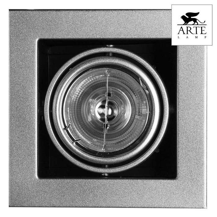 Карданный светильник Arte Lamp Cardani A5930PL-1SI — фото 3