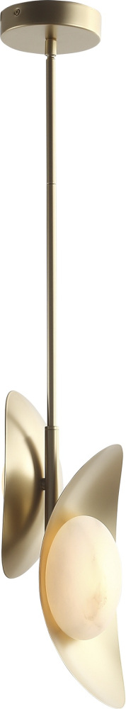 Светильник потолочный ST Luce Pearl SL6229.203.02