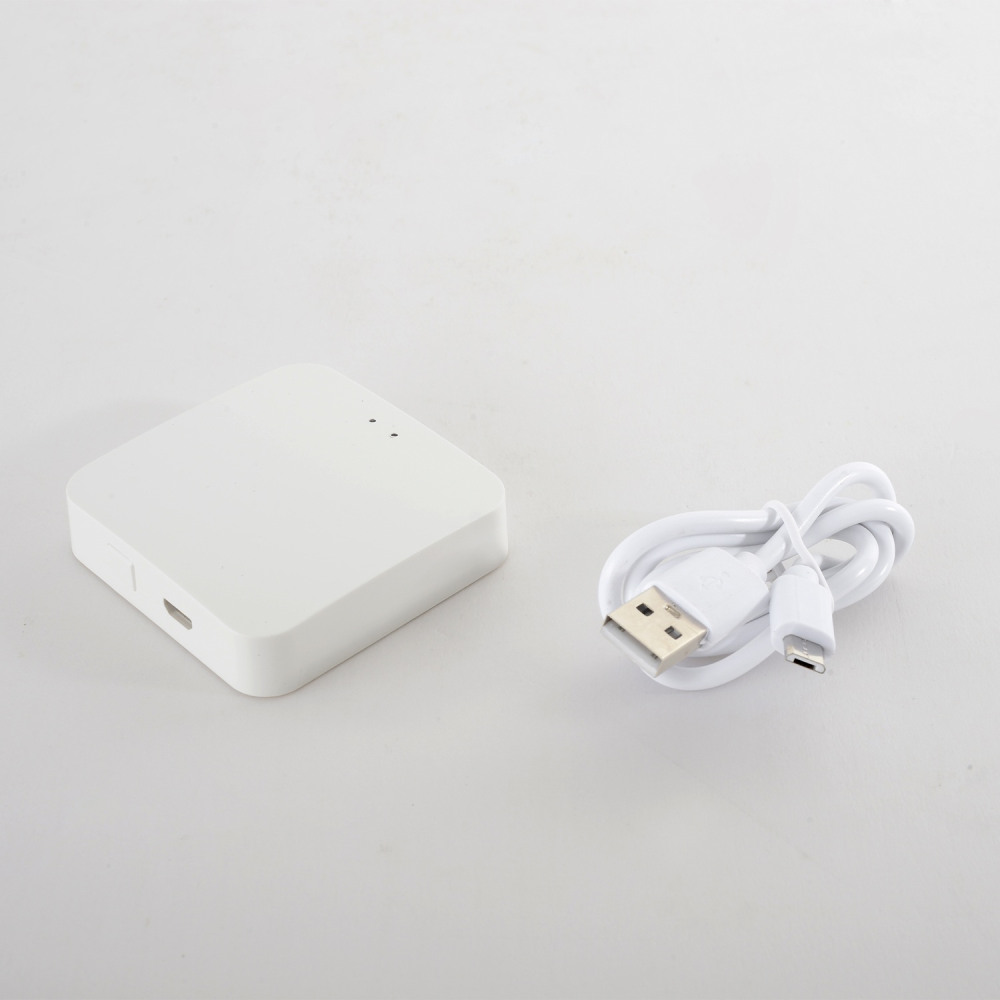Модуль управления Space Smart Home CLT 0.203 12
