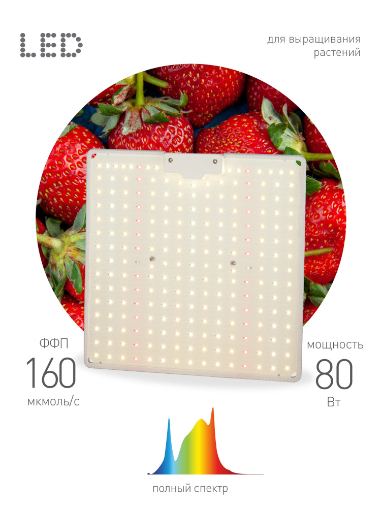 Светильник для растений FITO-80W-LED-QB