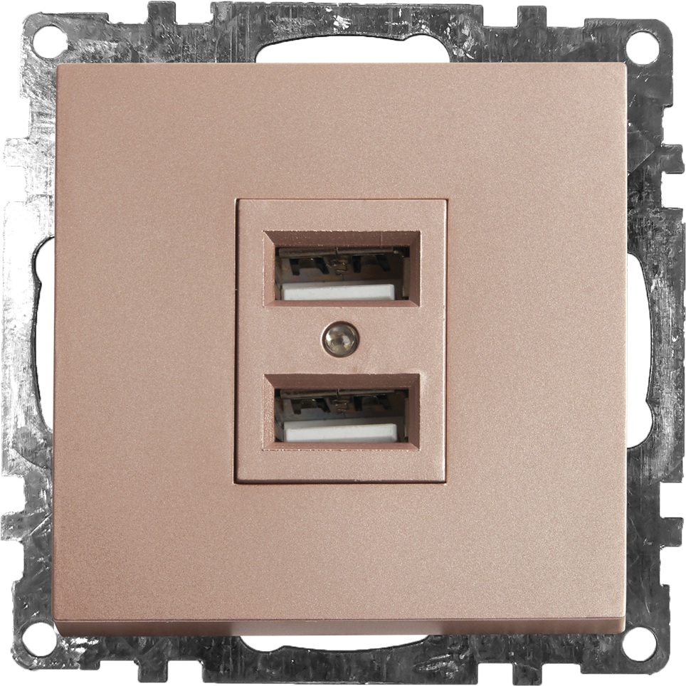Розетка USB 2-местная Stekker Катрин 39602