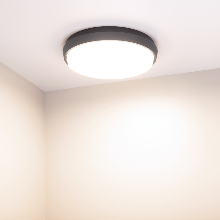 Уличный потолочный светильник Arlight 032424 — фото 2