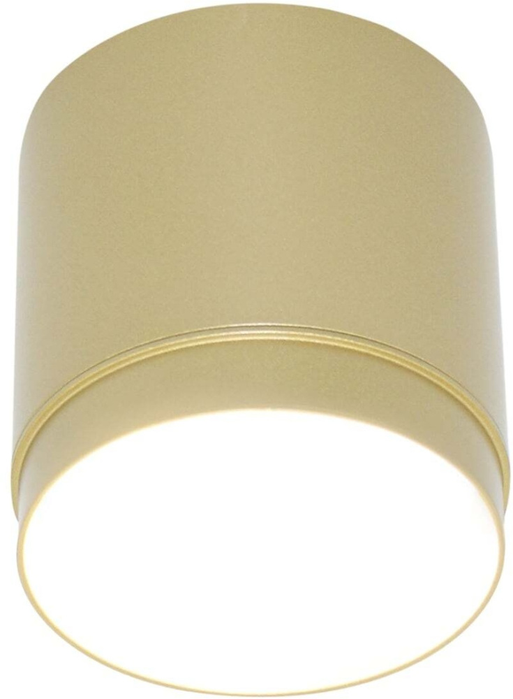 Накладной светильник Ceiling Wall Maytoni C088CL-GX53-MG