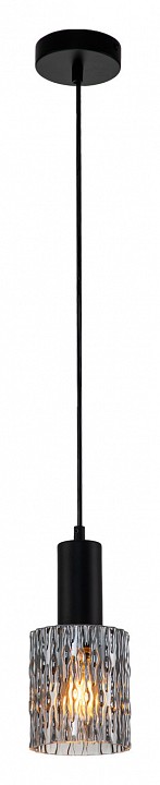 Подвесной светильник Escada Rain 10189/1S Black — фото 3