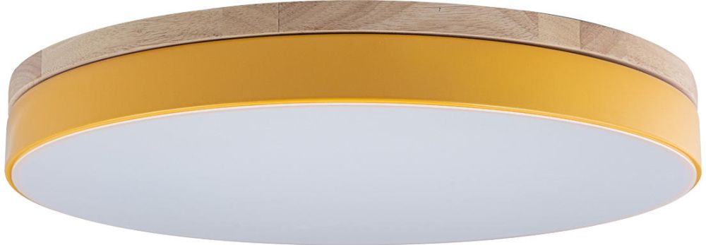 Потолочный светильник Axel Loft It 10001/36 Yellow