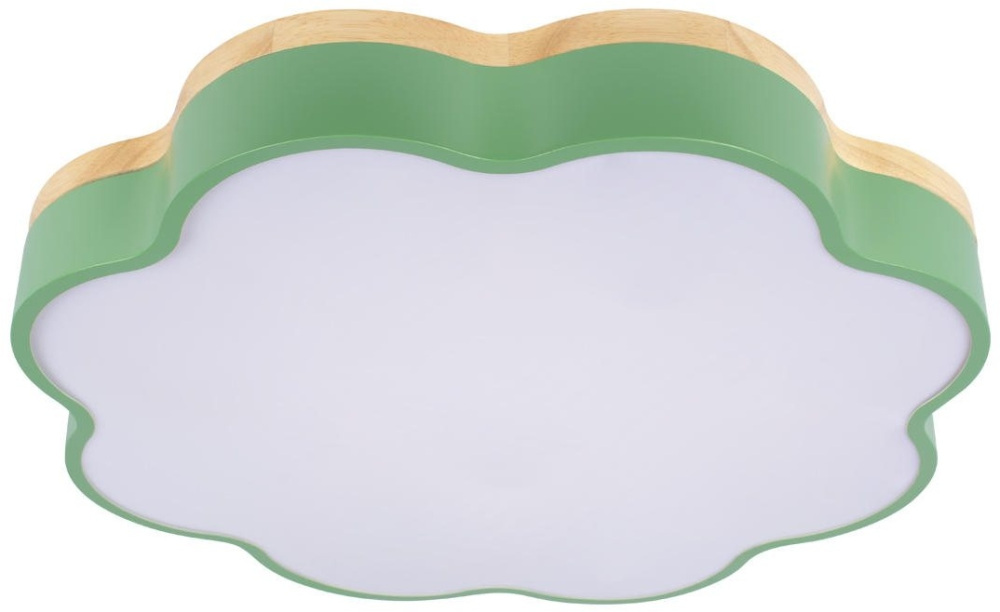 Потолочный светильник Axel Loft It 10225/36 Green