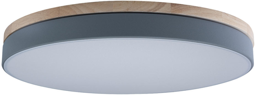Потолочный светильник Axel Loft It 10001/36 Grey
