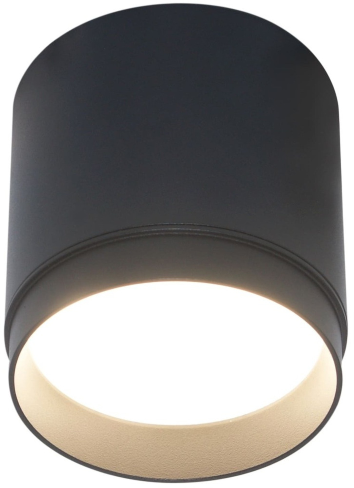 Накладной светильник Ceiling Wall Maytoni C088CL-GX53-B