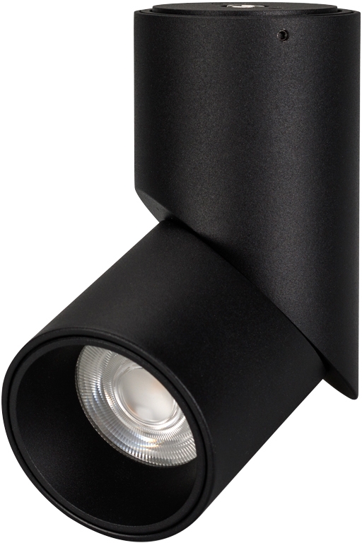 Светильник SP-TWIST-SURFACE-R70-12W Дневной 4000К 025456(1)
