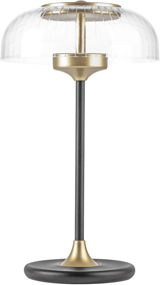 Настольная лампа Lightstar Acrile 738973