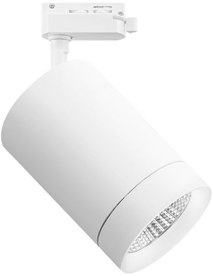 Трековый светильник Lightstar Canno 303262