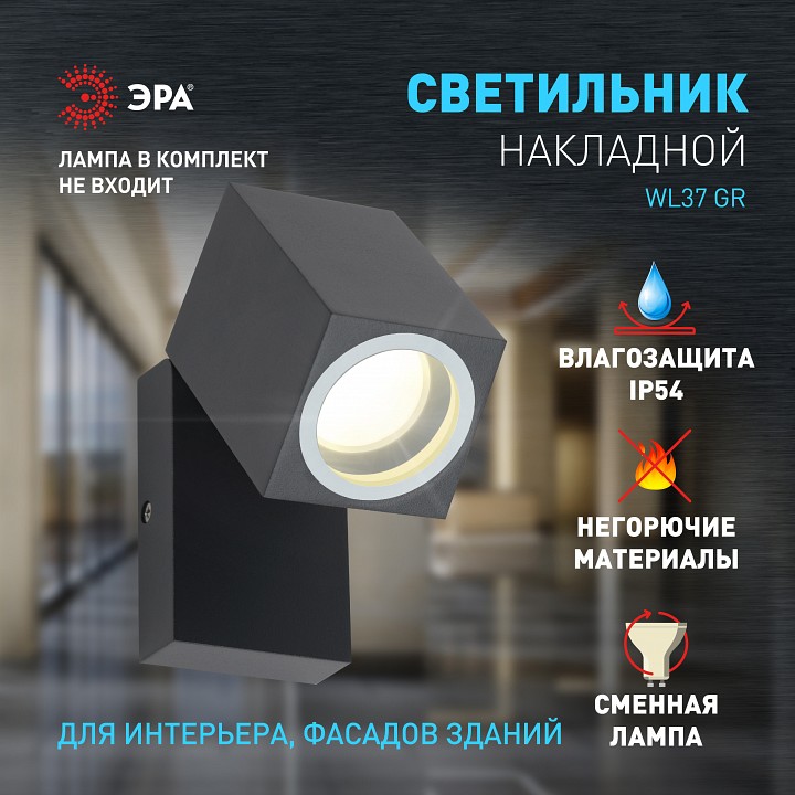 Светильник на штанге Эра WL37 GR Б0054409 — фото 2
