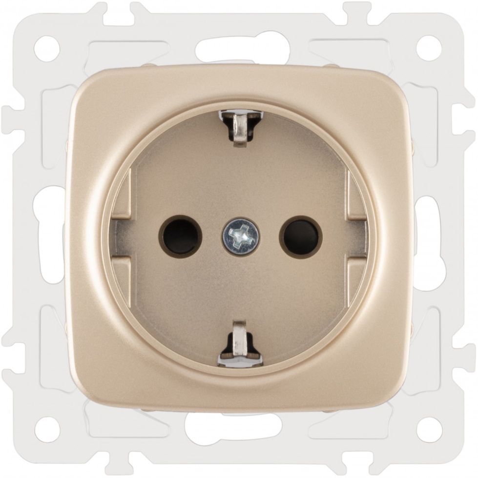 Розетка Arte Milano Am-205 205.40-1.shampan