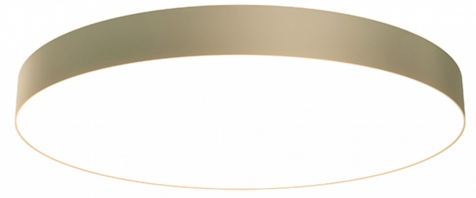 Накладной светильник Maytoni Zon C032CL-L96MG3K