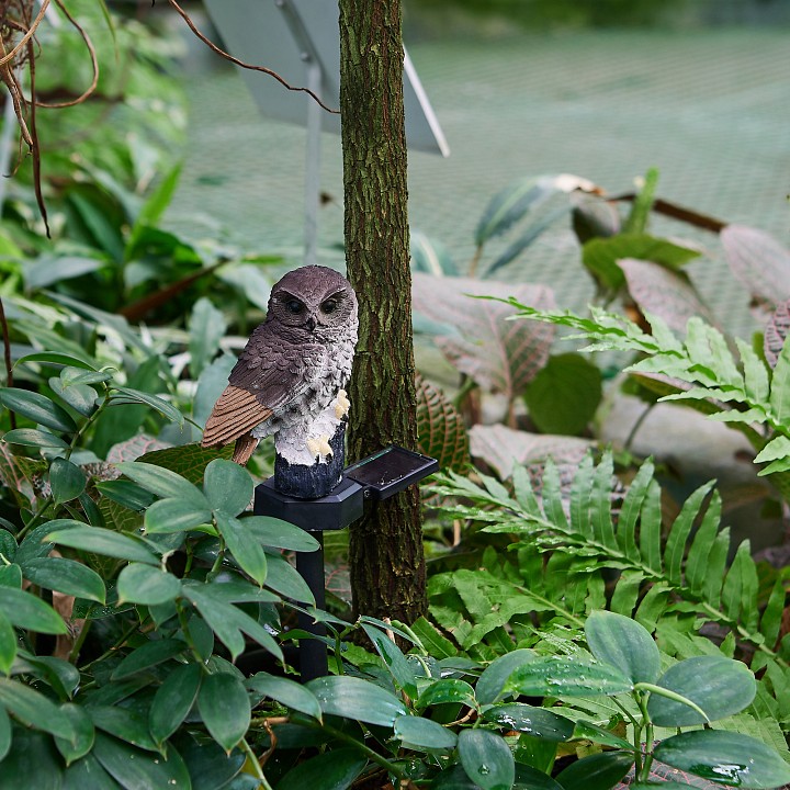 Птица световая Uniel BROWN OWL UL-00011605 — фото 4