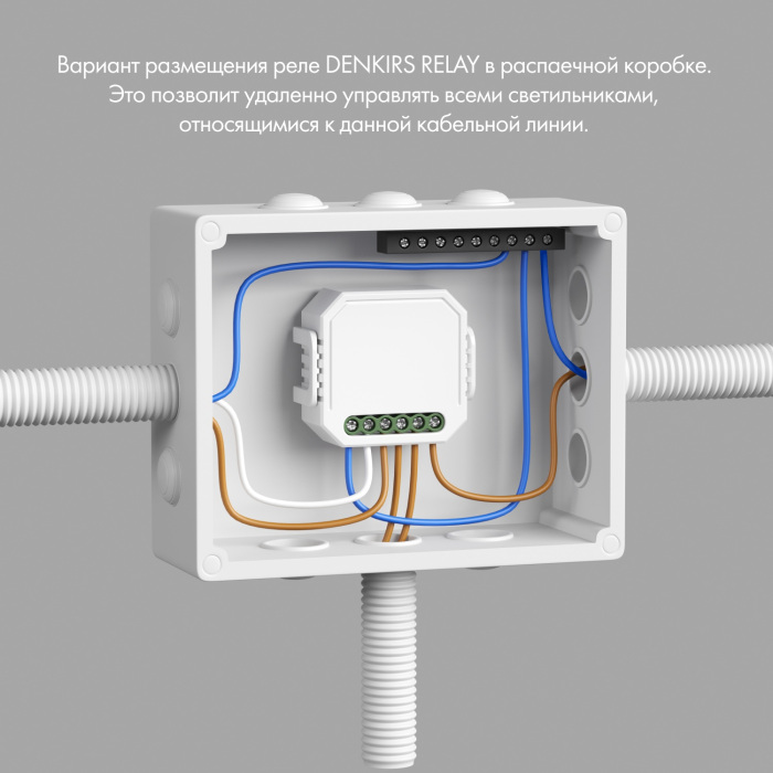 Wi-Fi реле Relay RL1004-DM/1 — фото 2