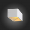 Накладной светильник ST-Luce Grappa 2 SL455.501.01