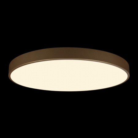 Потолочный светильник Flims Loft It 10228/B