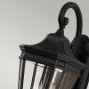 Настенный фонарь уличный Cotswold Lane FE-COTSLN2-M-BK