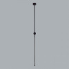 Светильник на штанге Odeon Light Foden 7101/15CL
