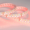 Светодиодная лента Arlight RT открытая 018144(1)