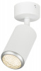 Спот OL55 WH/SL OL55 WH/SL