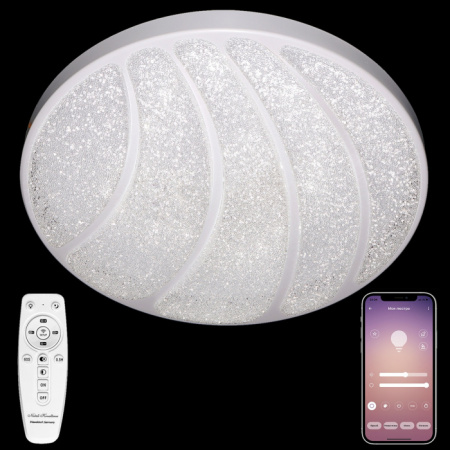 Потолочный светильник LED LED LAMPS 81105