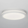 Светильник потолочный Citilux Luns CL711020V