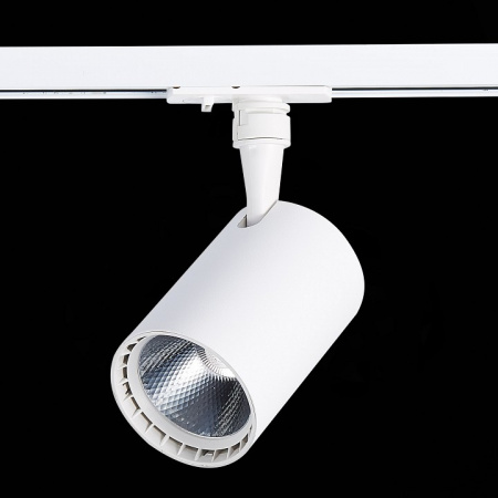 Светильник на штанге ST-Luce Cami ST351.536.20.24
