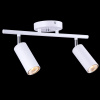 Спот Trinity TRINITY 76055/2W WHITE