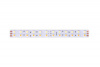 Светодиодная лента SWG DSG5120 DSG5120-24-W+WW-33